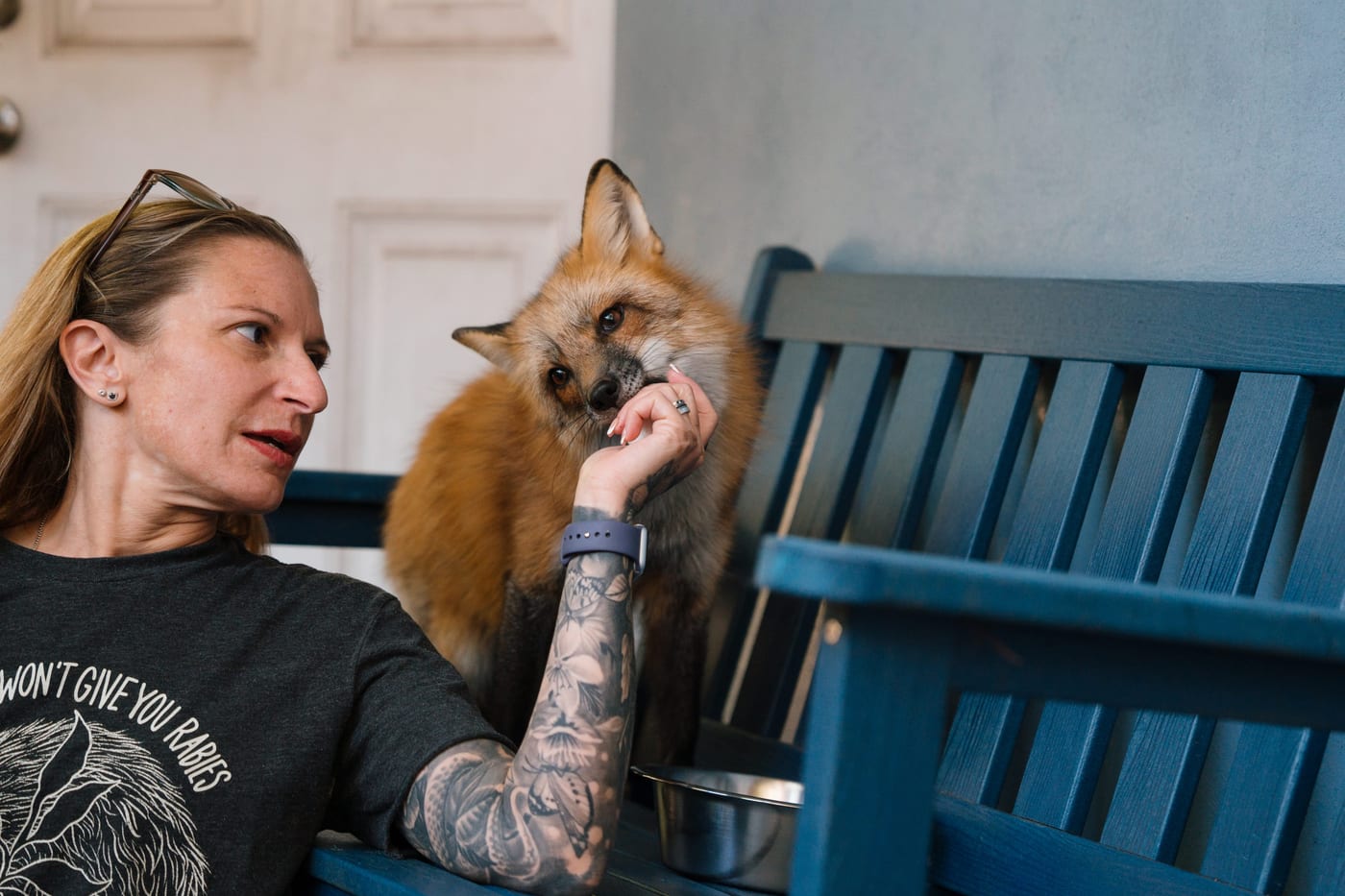 Sanctuary caregiver with a rescued fox at Pawsitive Beginnings