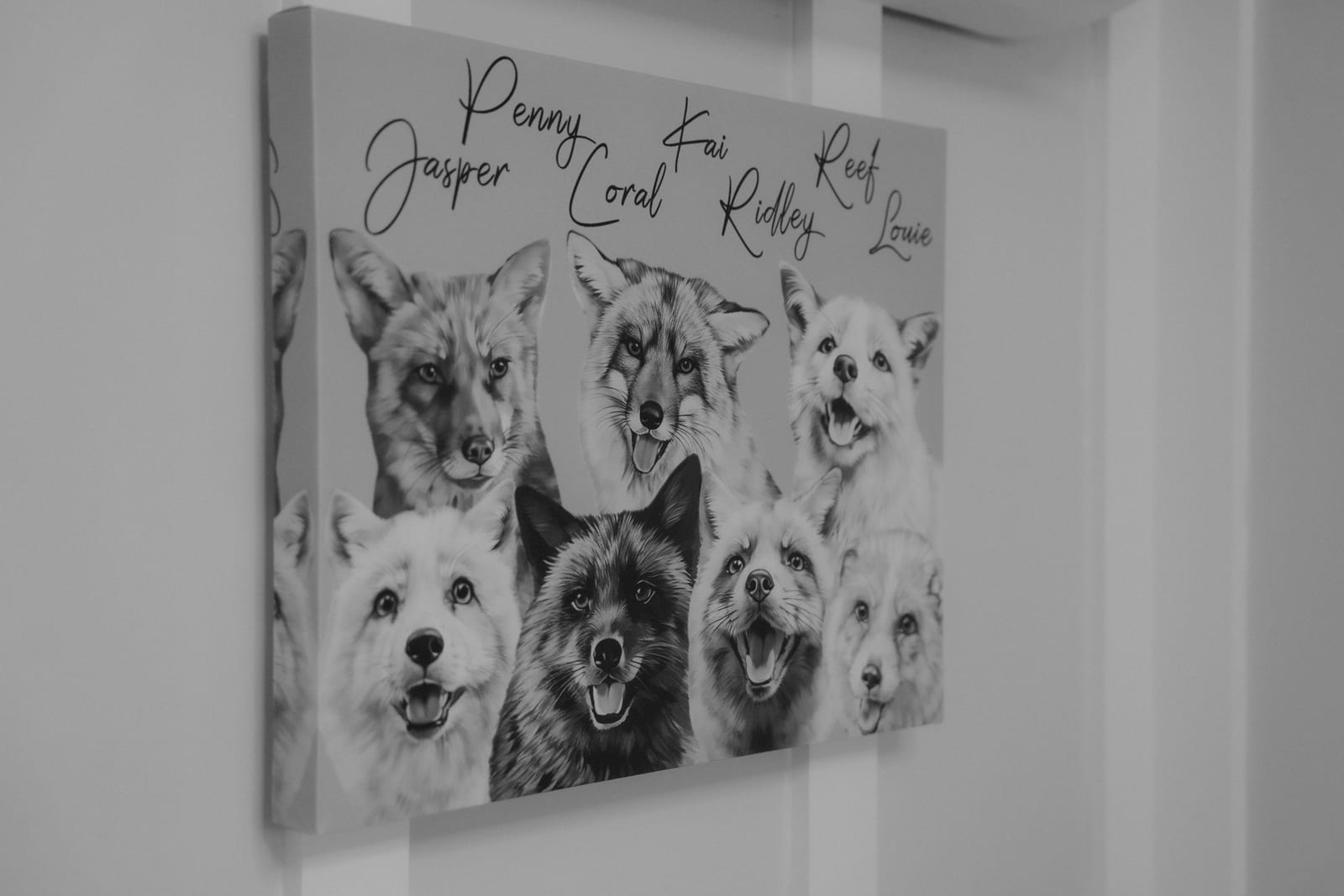 Hand-drawn portraits of the Pawsitive Beginnings foxes — Penny, Jasper, Coral, Kai, Ridley, Reef, Louie