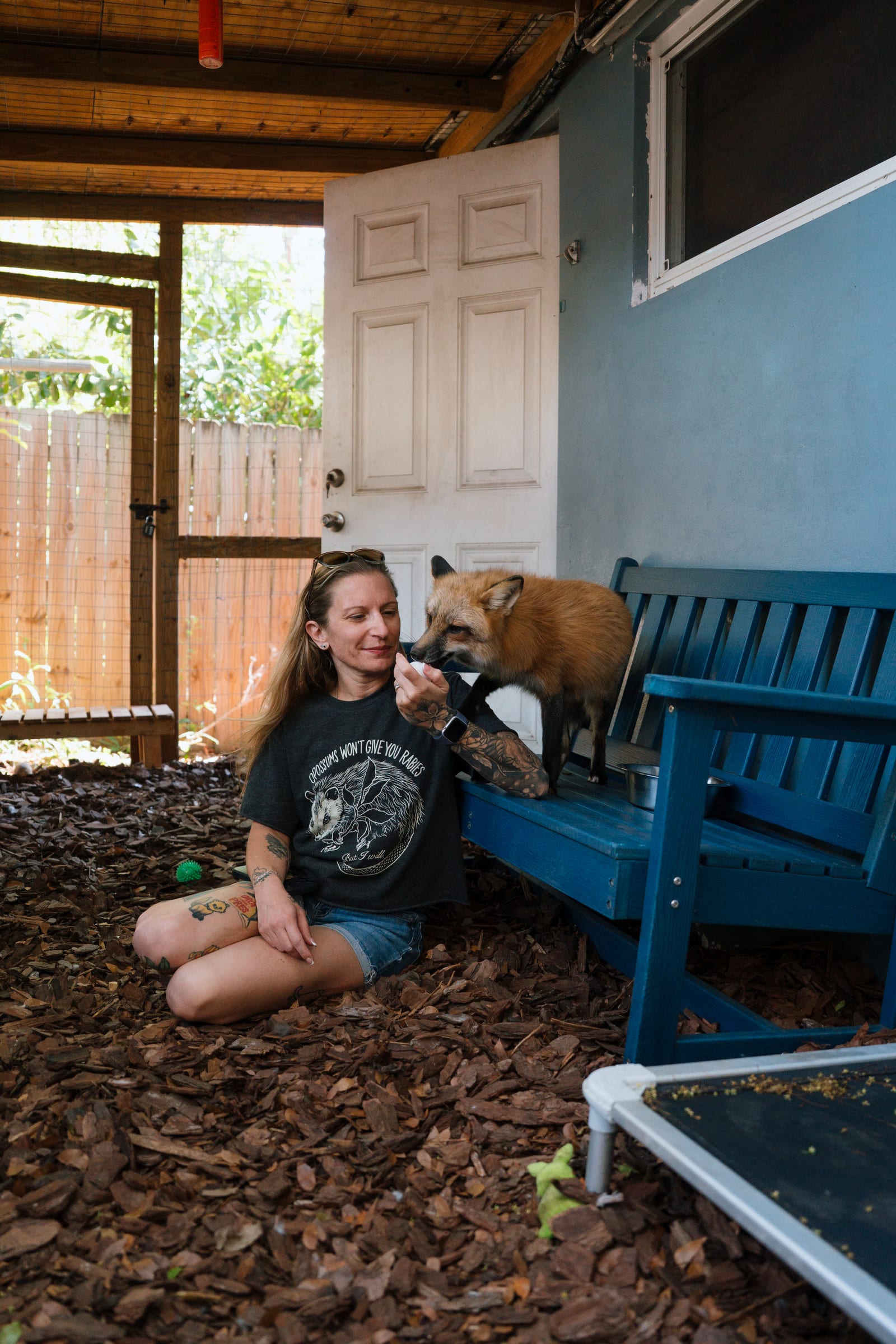 A caregiver bonding with a rescued red fox at Pawsitive Beginnings sanctuary