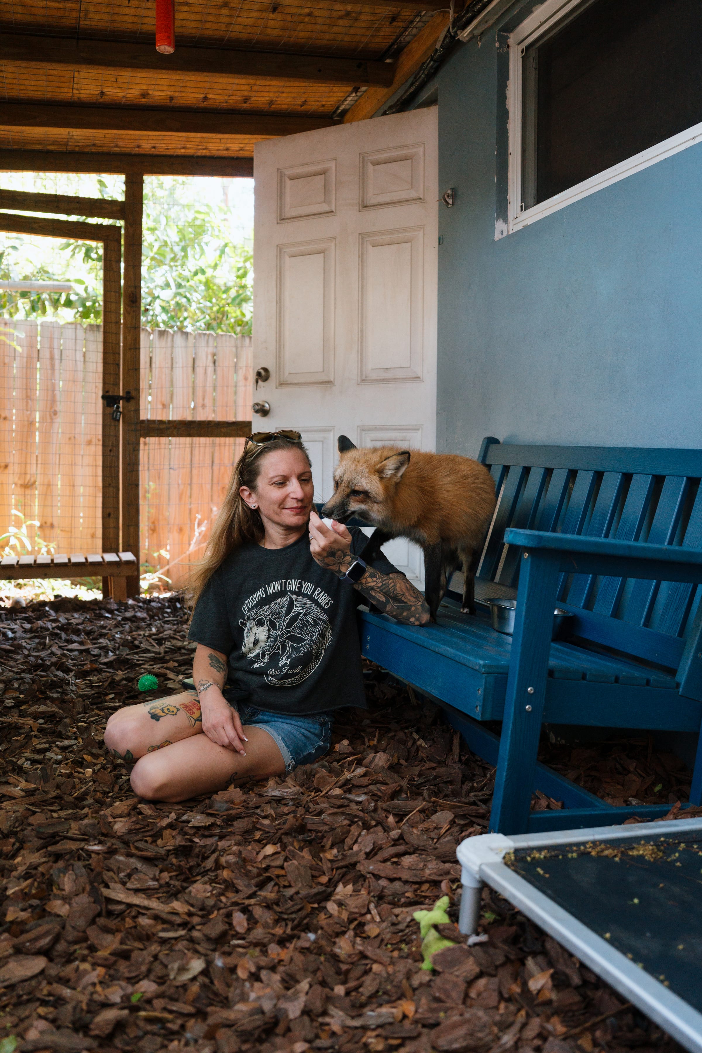 A caregiver embraced by a rescued red fox at Pawsitive Beginnings