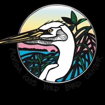 Florida Keys Wild Bird Center
