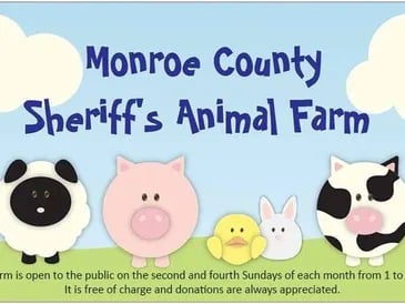 Monroe County Sheriff's Office Animal Farm
